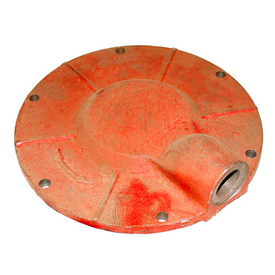 Крышка С415М.01.20.003