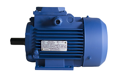 Двигатель электрический АИР 100L2 5,5*3000